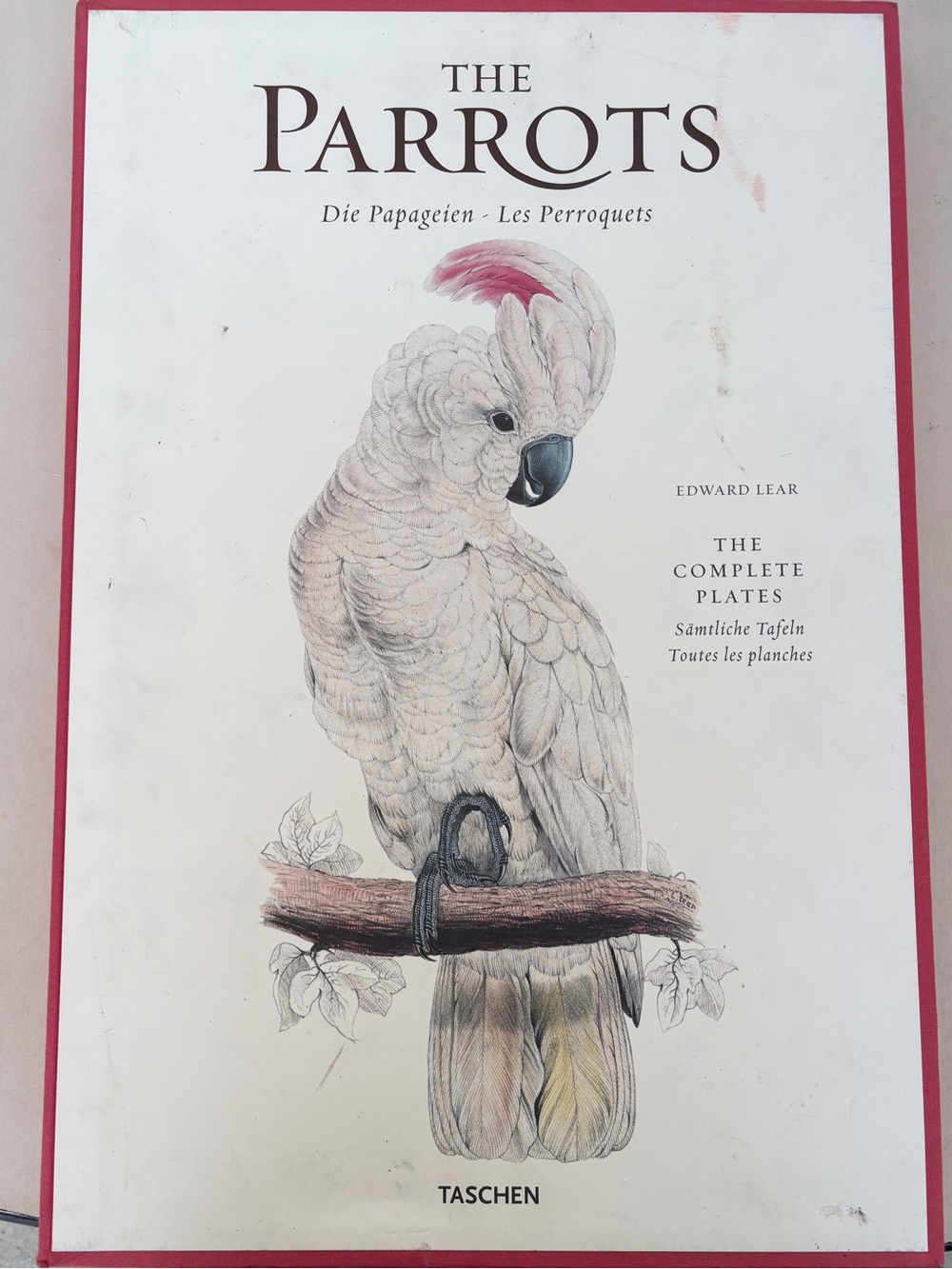 Edward Lear The Parrots Taschen The Complete Plates 42 Fine Art Prints